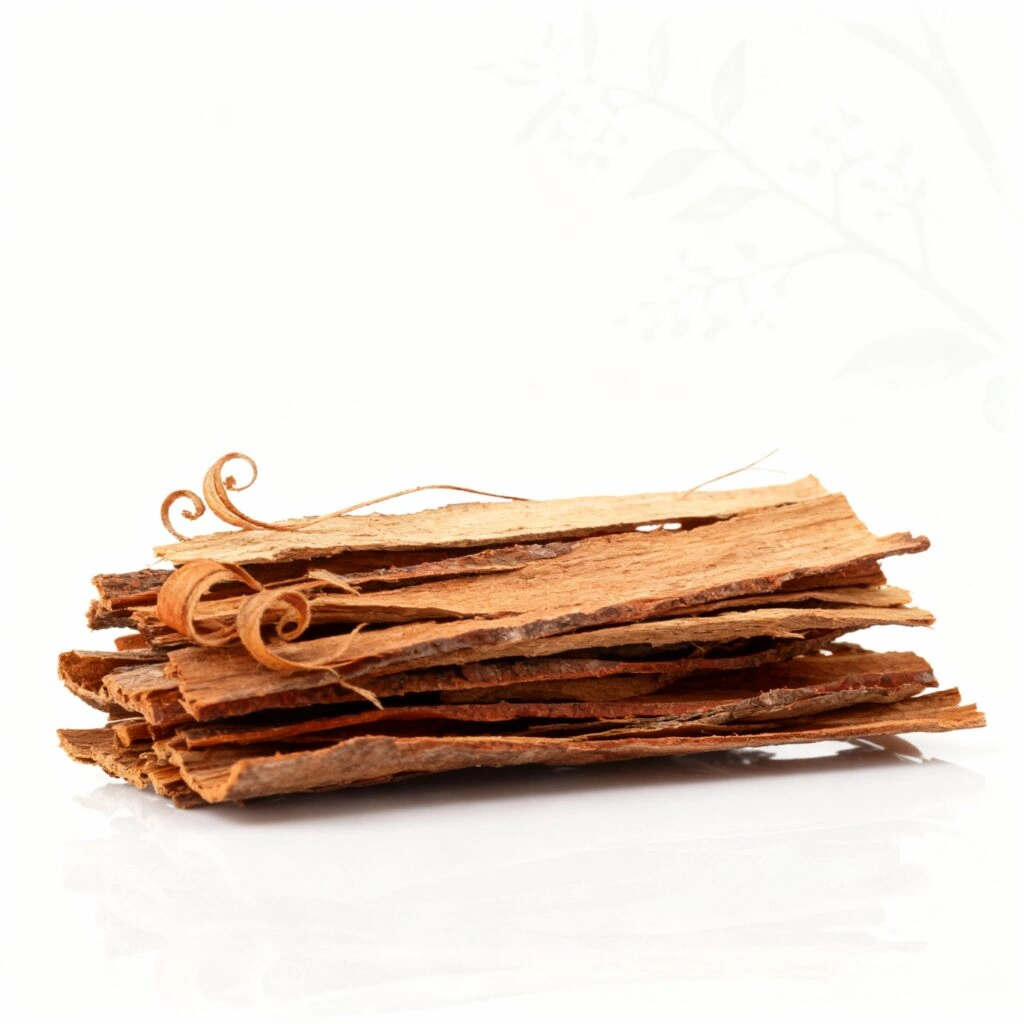 Catuaba bark — Brazilian natural stimulant for blood circulation and arousal in Giant Max